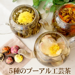 5種のプーアル工芸茶(菊・ジャスミン・ユリ・牡丹・バラ) 工芸茶 龍珠 5種類入り ネコポス 送料無料　誕生日 バースデー お礼 挨拶 送別 お見舞い