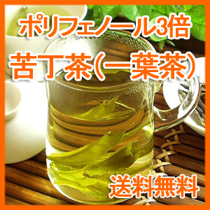 一葉茶（苦丁茶）50g