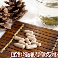 即納 国産 松葉サプリメント60粒 茶葉 日本産 松葉 アカマツ スラミン 無農薬 赤松