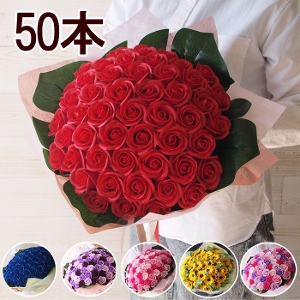 \[vt[ԑ bh  50{  [Y J[l[V Ђ܂ a \ j LO { ސE  ٓ V{t[  ͂Ȃ