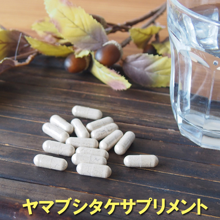 ヤマブシタケサプリメント60粒(約2ヶ月分)
