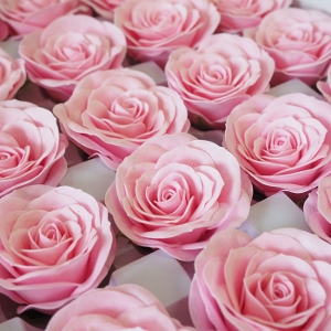 �\�[�v�t�����[�w�b�h ���^���[�Y25�@�s���N