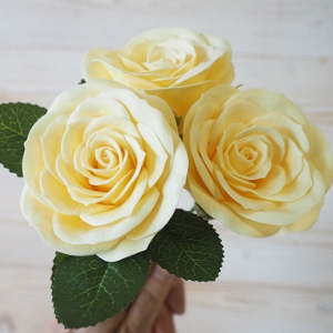 �\�[�v�t�����[�w�b�h ���^���[�Y25�� �C�G���[