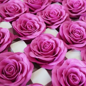 �\�[�v�t�����[�w�b�h�@���^���[�Y25�@�p�[�v��