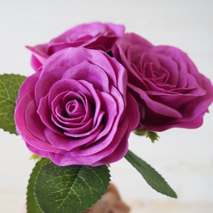 �\�[�v�t�����[�w�b�h�@���^���[�Y25�@�p�[�v��