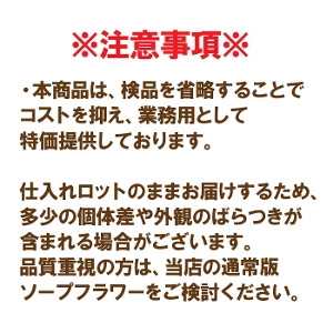 Ɩp \[vt[ [Y bh 1000ցi50ց~20jʍw o ԍ Mtg  Cxgp ܂Ƃߔ Ԃo 