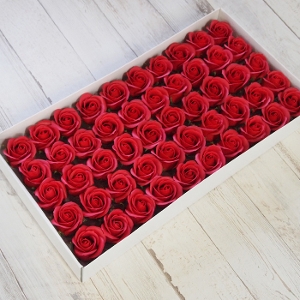 Ɩp \[vt[ [Y bh 1000ցi50ց~20jʍw o ԍ Mtg  Cxgp ܂Ƃߔ Ԃo 