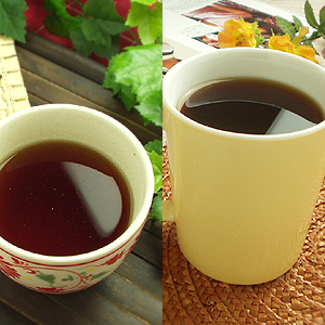 美容健康茶【燃焼ゴーヤ茶】