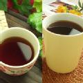 美容健康茶【燃焼ゴーヤ茶】