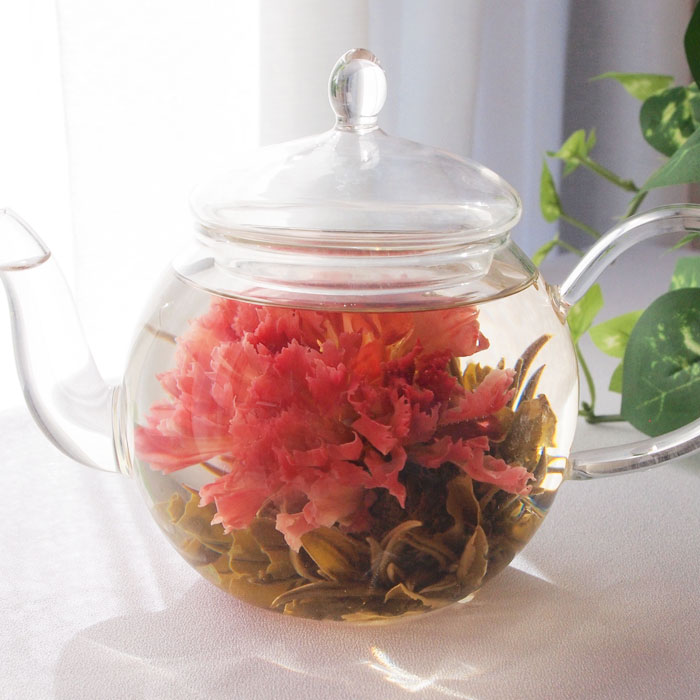 コットンフラワー 開きたてホヤホヤ 和綿 白茶 書く5 コットンフラワー 開きたてホヤホヤ 和綿 白茶 書く5 コットンフラワー