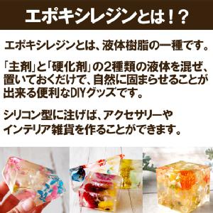 2液性エポキシレジン液1.5kg (1000g×1＋500g×1)